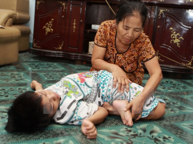 Во Вьетнаме стартовала программа вручения новогодних подарков жертвам «эйджент-орандж» - ảnh 1